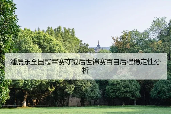 pan-zhan-le-quan-guo-guan-jun-sai-duo-guan-hou-shi-jin-sai-bai-zi-hou-cheng-wen-ding-xing-fen-xi-2-285.jpg